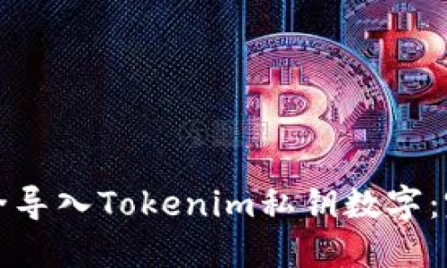 如何安全导入Tokenim私钥数字:完整指南