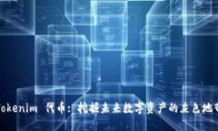 Tokenim 代币: 挖掘未来数字资产的灰色