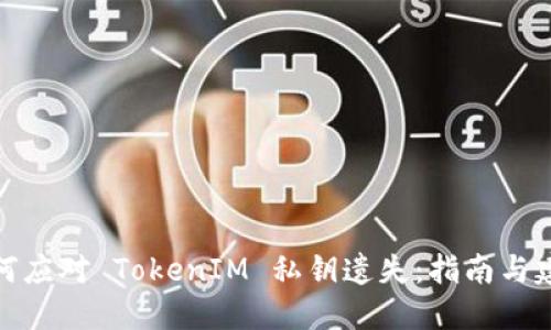 如何应对 TokenIM 私钥遗失:指南与建议