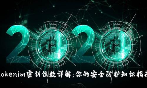 tokenim密钥位数详解:你的安全防护知识指南