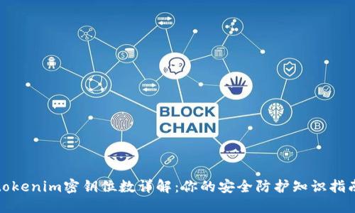 tokenim密钥位数详解:你的安全防护知识指南