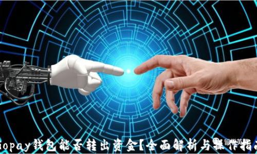 Gopay钱包能否转出资金?全面解析与操作指南