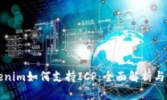 Tokenim如何支持ICP：全面解析与应用