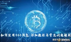 如何使用BSC钱包：详细教程与常见问题