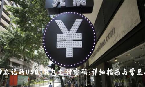 如何找回忘记的USDT钱包支付密码:详细指南与常见问题解答