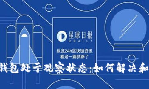 Tokenim钱包处于观察状态:如何解决和使用体验