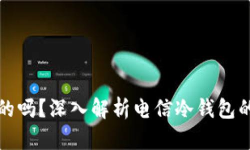 电信冷钱包是真的吗?深入解析电信冷钱包的安全性和实用性