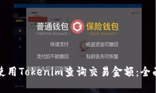 如何使用Tokenim查询交易金额:全面指导