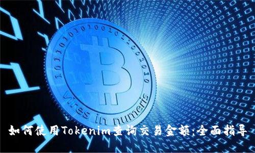 如何使用Tokenim查询交易金额:全面指导