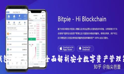 冷钱包切换中文版:全面解析安全数字资产管理策略