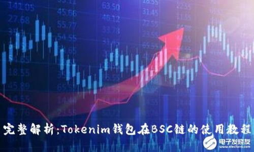 完整解析:Tokenim钱包在BSC链的使用教程
