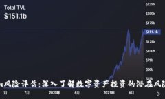 Tokenim风险评估：深入了解数字资产投