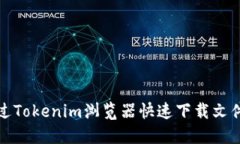 如何通过Tokenim浏览器快速下载文件与