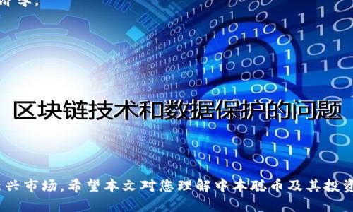  中本聪币：虚拟货币世界的传奇角色与投资机会 / 
 guanjianci 中本聪币, 虚拟货币, 区块链, 投资机会 /guanjianci 

引言
在当今快速发展的数字时代，虚拟货币已经成为了全球经济中不可忽视的一部分。特别是比特币，作为第一个也是最著名的虚拟货币，吸引了无数投资者的关注。而“中本聪”这个名字则成为了与比特币密切相关的传奇人物。他的身份之谜、技术贡献以及比特币的影响力，使得他在虚拟货币世界中具有举足轻重的地位。在这篇文章中，我们将深入探讨中本聪币的背景、意义以及与之相关的投资机会和风险。

中本聪的身份与影响
中本聪这个名字最初是在2008年比特币白皮书《比特币：一种点对点的电子现金系统》中提出的。至今，关于他的真实身份仍然是一个未解之谜。他可能是一个人，也可能是一个团队，而其身份的秘密成为了历史上最大的科技谜团之一。
中本聪对区块链技术和比特币的贡献不仅体现在理论层面，更在于实践中推动了整个虚拟货币的发展。比特币的核心技术——区块链，确保了安全性和透明性，使其成为了分散式的交易媒介，从而挑战了传统金融体系。
这一创新的影响深远，不仅改变了人们的支付方式，也带来了新的商业模式，如智能合约和去中心化金融（DeFi）。因此，中本聪不仅是一个名字，更是创新与传奇的象征。

中本聪币的投资机会
随着比特币的普及，越来越多的投资者开始关注这个新兴市场。中本聪币作为比特币的代表，吸引了大量投资者的青睐。投资中本聪币有其独特的机会和优势。
首先，比特币的稀缺性使其在未来有较大的升值空间。比特币的总量被限制在2100万枚，这使得它有可能在某种程度上成为数字黄金，从而对冲通货膨胀风险。
其次，随着越来越多的企业和机构开始接受比特币作为支付方式，其应用前景广泛。特别是在金融科技的推动下，比特币的流动性和接受程度不断提升。
最后，比特币的去中心化特性为投资者提供了一种保护免受政府干预和经济危机影响的手段。在全球不确定性加剧的背景下，许多人开始将比特币视为安全资产。

可能相关的问题
h41. 中本聪币是什么，它与其他加密货币有什么区别？/h4
中本聪币是比特币的代名词。它是一种基于区块链技术的虚拟货币，与其他加密货币（如以太坊、莱特币等）相比，存在若干区别。
首先，比特币是第一个被提出的加密货币，具有较长的历史和更广泛的用户基础。其次，比特币的算法与其他加密货币并不相同，挖矿的难度和奖励机制也有所差异，影响了其价值和市场表现。
其次，比特币的安全性和去中心化特征已被广泛接受，而其他加密货币在这些方面可能还存在争议。例如，以太坊虽然功能强大，但其智能合约的复杂性可能增加了潜在的风险。
最后，比特币的稀缺性和分散化特性使其在投资中被视为一种“数字黄金”，而其他加密货币则更多地被看作是利用不同技术构建的应用平台。

h42. 投资中本聪币的风险有哪些？/h4
尽管中本聪币（比特币）的投资机会诱人，但其中也伴随着许多风险。
首先，市场波动性大是比特币投资的主要风险。比特币价格的剧烈波动使得投资者可能在短时间内遭受严重损失，因此建议投资者在入场前进行充分的市场研究和风险评估。
其次，由于缺乏监管，投资比特币也面临着法律和合规性的风险。不同国家对虚拟货币的监管政策各不相同，因此投资者需要密切关注相关法规以避免潜在法律风险。
第三，网络安全事件也可能影响比特币的投资安全。过去，比特币交易所曾遭受黑客攻击，导致用户资金被盗取。这种风险提醒投资者在选择交易平台时要谨慎行事，确保资金的安全。

h43. 中本聪的真实身份是什么？/h4
中本聪的真实身份至今没有确凿证据，目前有许多理论和猜测，但都没有得到官方确认。有关中本聪身份的谜团引发了大量的研究和推测，许多人希望揭开这个神秘面纱。
有一些人认为，中本聪可能是一个团队而非个人，这种观点得到了加密货币领域的一些专家的认同，他们认为比特币的创建需要多方面的知识和技能，包括密码学、计算机科学和经济学。
此外，网络安全专家、创业者，以及一些著名学者也被指认为中本聪候选人，但缺乏实质证据的支持。在这个仍然未解的谜团面前，人们的好奇心似乎只增不减.

h44. 如何安全地投资中本聪币？/h4
投资中本聪币的安全性是许多投资者关注的焦点。在面对如此多的风险时，采取适当的措施保障自己的资产安全至关重要。
首先，选择可信赖的交易平台至关重要。投资者在选择交易所时应尽量选择知名度高且获得监管的交易平台，确保其能够提供足够的安全保障。
其次，建议使用冷钱包存储比特币等虚拟货币。相对于热钱包，冷钱包能提供更为可靠的安全性，避免因网络攻击而导致资产损失。
另外，建议投资者采用多重身份验证以及强密码等措施，进一步提升账户的安全性。同时，定期查看账户活动，实时监控其交易记录，以便及时发现异常。
最后，定期进行风险评估，根据市场动态调整投资策略，确保投资风险控制在合理范围内。

总结
中本聪币作为虚拟货币的代表，不仅是技术创新的结晶，更是一种投资机会，但其相关风险也不容忽视。理解中本聪及比特币的背景、现状和未来，能够帮助投资者更好地参与这一新兴市场。希望本文对您理解中本聪币及其投资机会有所帮助。
