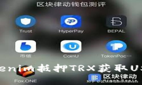 如何通过Tokenim抵押TRX获取USDJ:完整指南