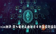 Tokenim测评：深入解析区块链项目的真