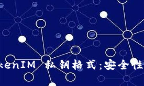 深入了解 TokenIM 私钥格式:安全性与实用性分析