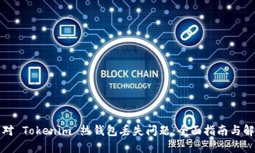 如何应对 Tokenim 热钱包丢失问题:全面指南与解决方案