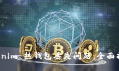 如何应对 Tokenim 热钱包丢失问题：全面