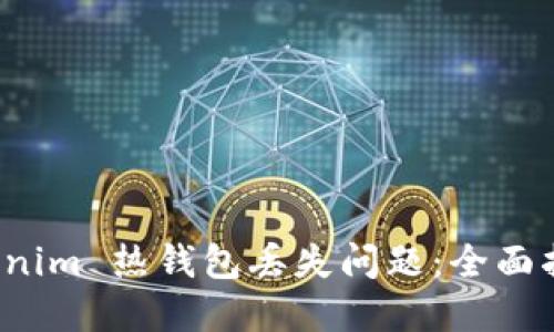 如何应对 Tokenim 热钱包丢失问题:全面指南与解决方案