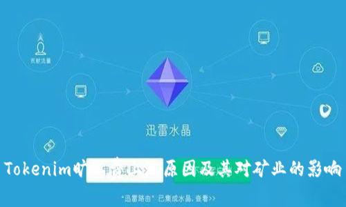 Tokenim旷工费上涨原因及其对矿业的影响