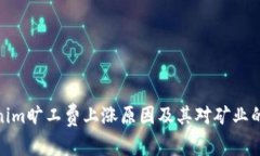 Tokenim旷工费上涨原因及其对矿业的影