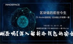 冷钱包记录能删除吗？深入解析冷钱包