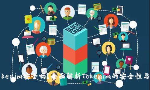 资金藏Tokenim安全吗?全面解析Tokenim的安全性与风险管理