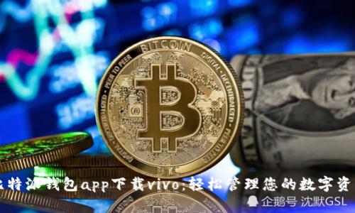 比特派钱包app下载vivo:轻松管理您的数字资产