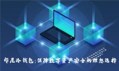 印尼冷钱包：保障数字资产安全的理想