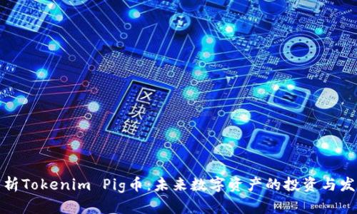 深入解析Tokenim Pig币:未来数字资产的投资与发展趋势