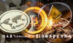 什么是Tokenim矿工费？详解其含义与影