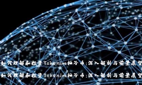 如何理解和投资Tokenim柚子币:深入解析与前景展望
如何理解和投资Tokenim柚子币:深入解析与前景展望