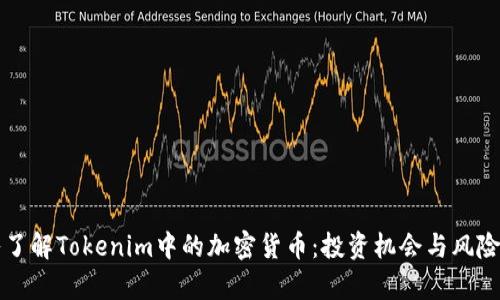 深入了解Tokenim中的加密货币:投资机会与风险分析