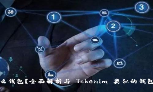是什么钱包?全面解析与 Tokenim 类似的钱包选择