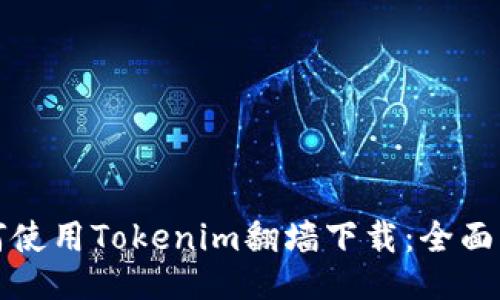 如何使用Tokenim翻墙下载:全面指南