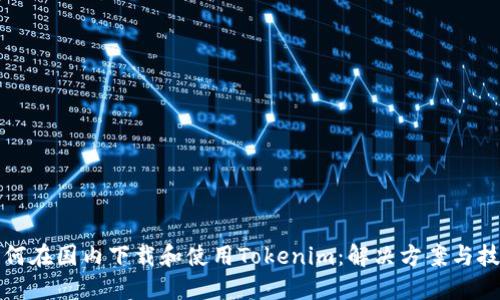如何在国内下载和使用Tokenim:解决方案与技巧