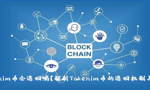 Tokenim币会退回吗?解析Tokenim币的退回机制与风险