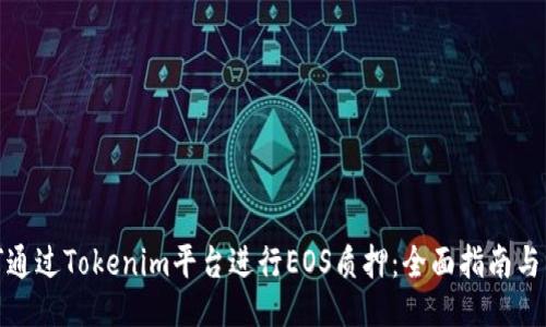 如何通过Tokenim平台进行EOS质押:全面指南与策略