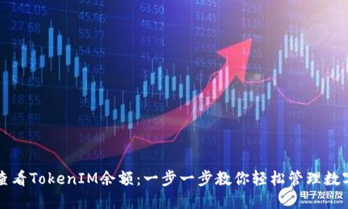 如何查看TokenIM余额:一步一步教你轻松管理数字资产