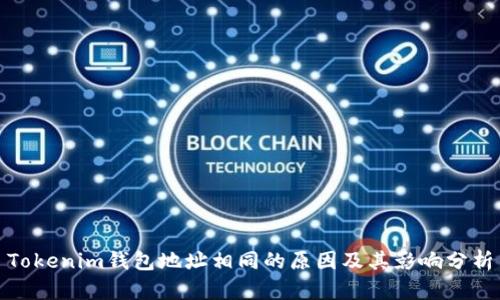 Tokenim钱包地址相同的原因及其影响分析