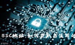 Tokenim BSC地址：如何获取与使用的全面