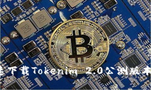 : 如何快速下载Tokenim 2.0公测版本:完整指南
