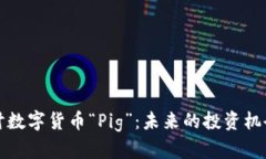 深入探讨数字货币“Pig”：未来的投资