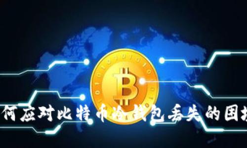 如何应对比特币冷钱包丢失的困境？