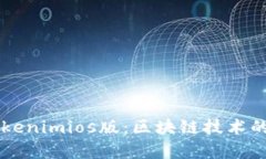 深入解析Tokenimios版：区块链技术的未