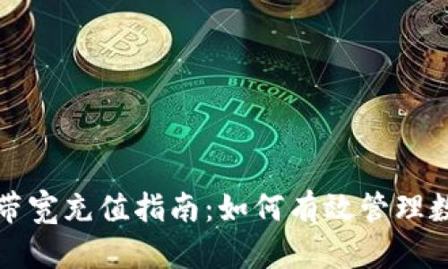 冷钱包账户带宽充值指南:如何有效管理数字资产带宽