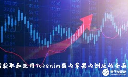 如何获取和使用Tokenim国内苹果内测版的全面指南