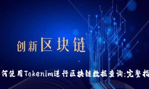 如何使用Tokenim进行区块链数据查询:完整指南