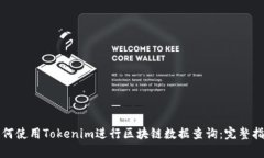 如何使用Tokenim进行区块链数据查询：